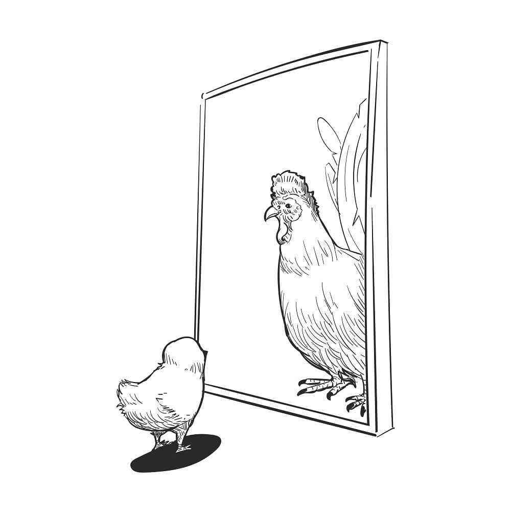 ヒヨコが鏡をみている。鏡には立派な鶏冠のにわとりが移っている様子